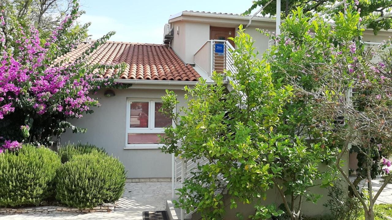 Haus Mirela Apartment Liznjan Ngoại thất bức ảnh